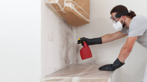 Professional Mold Removal technician working in Brightwaters, NY